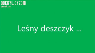 Leśny deszczyk ...