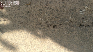 VID_20180503_103623.mp4