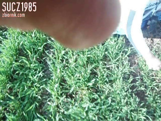 sucz1985