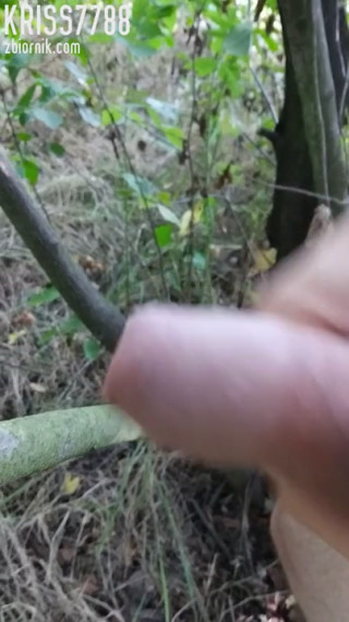 VID_20190806_150547.mp4