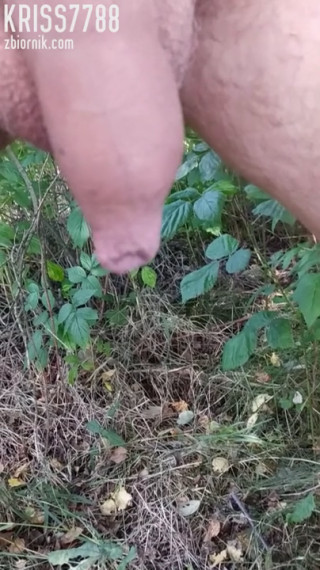 VID_20190805_161122.mp4