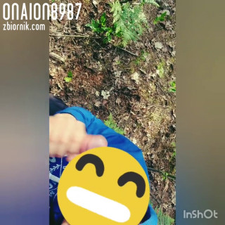 OnaiOn8987
