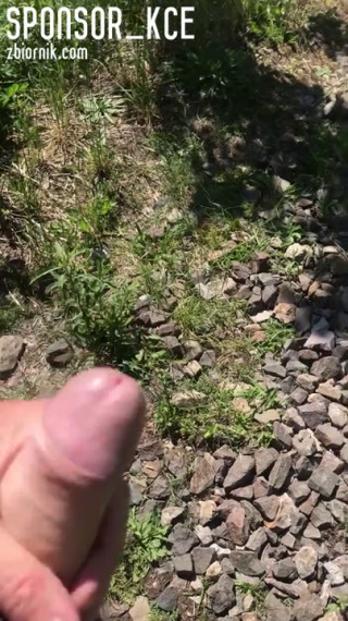 Plenerek