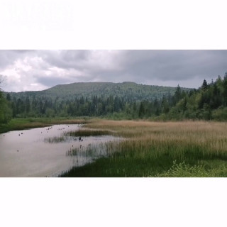 ⛈️