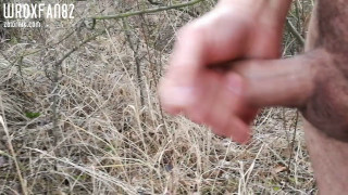 VID_20200210_134652.mp4