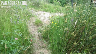 MVI_0920.MOV