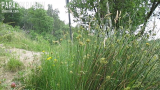 MVI_0917.MOV