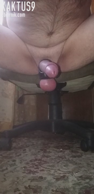kaktus9