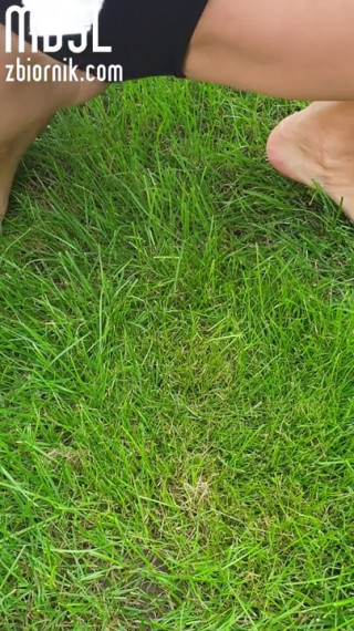 Pociekło