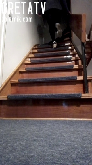 VID_20201201_190758.mp4