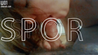 97.mp4