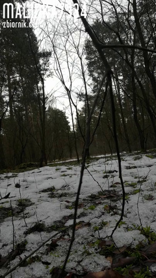 VID_20210122_134337.mp4