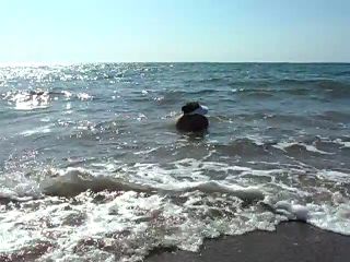 SAM_3673.MP4