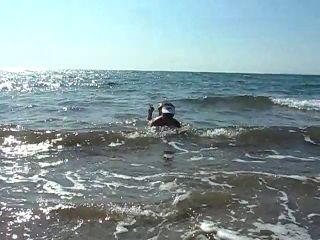SAM_3673.MP4
