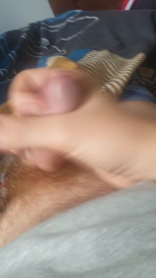 SebaNaWszystko