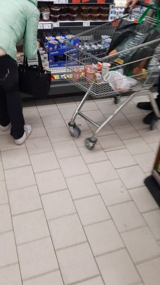 MarrAsii
