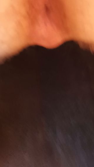 VID_20211101_080506.mp4