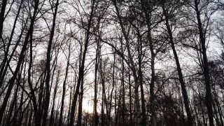 20220315_162757.mp4