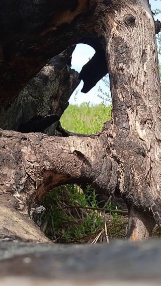 VID_20220501_123221.mp4