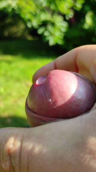VID_20220724_074058.mp4