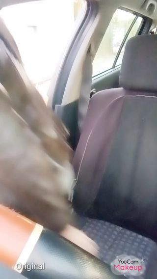 2022-09-02-06-00-55-491.mp4