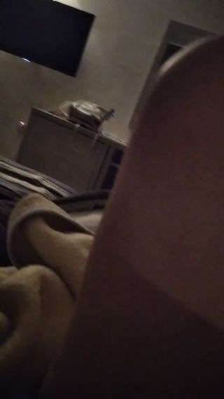 Nocne przebudzenie 