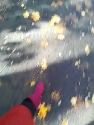 VID_20221028_191643.mp4