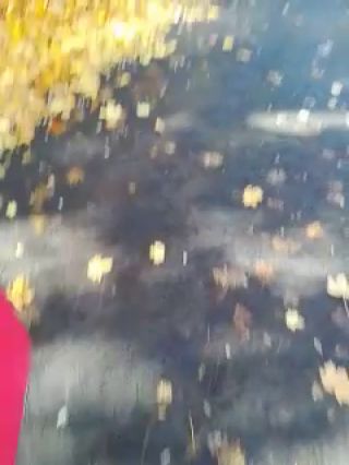 VID_20221028_191643.mp4