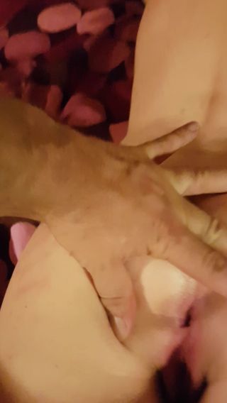 20170423_205431.mp4