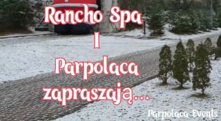 VID-20221113-WA0135.mp4