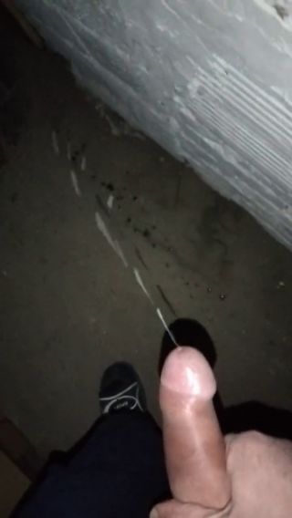 Video 20.01.2023.mp4