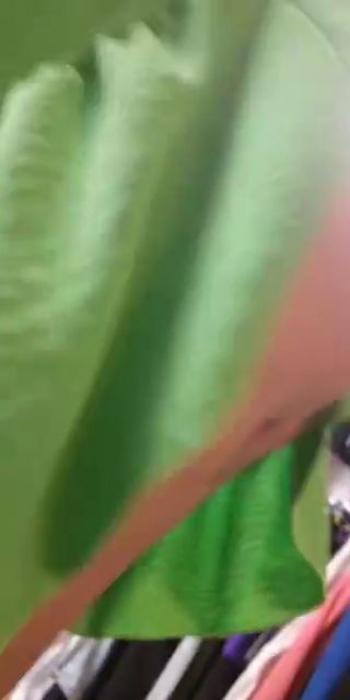 received_662869649217550.mp4