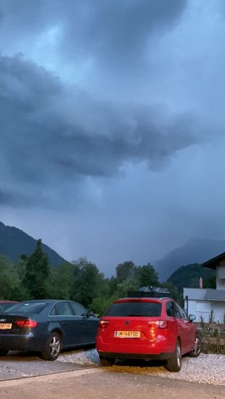 IMG_3812.mov