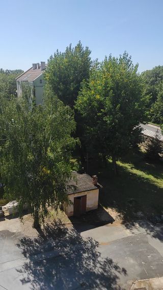 VID_20230815_122304.mp4