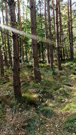 VID_20231015_133927.mp4