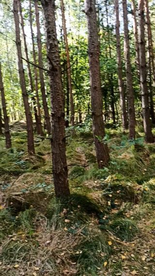 VID_20231015_133927.mp4