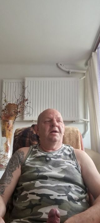 ostrytygrys50