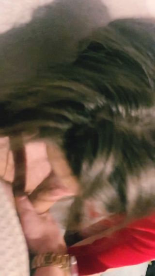 .mp4