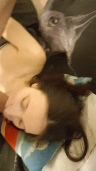 Snapchat-370727337.mp4
