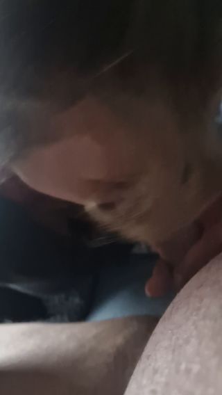 namietninonstop