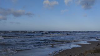 VID_20240201_144310.mp4