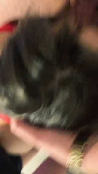 archiwum .mp4
