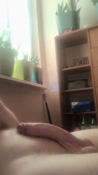 VID_20240819_152915.mp4