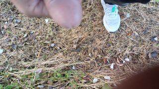 VID_20240929_175858.mp4