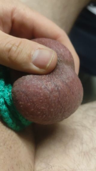 VID_20241006_172930.mp4