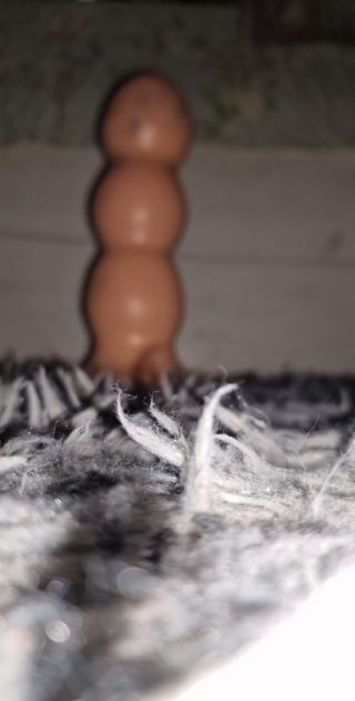 1000005944.mp4