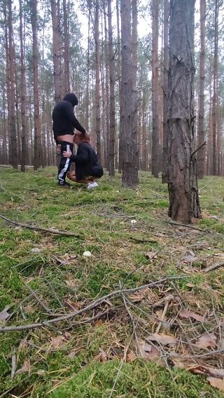 VID_20241016_175603.mp4
