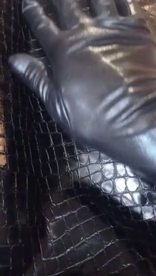 c42e3de534da41482169556bd9d2a013.mp4