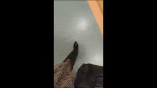 1222 (2)(1).mp4