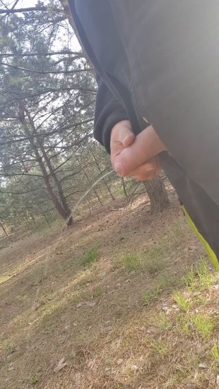 20250410_172604.mp4